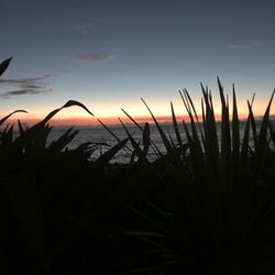 Lilikoi Inn - Sunset with a view !