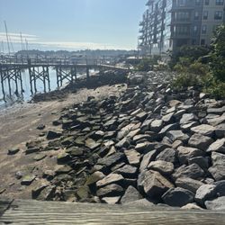 Squantum Point Park