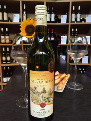 Lavaux Vinorama by null