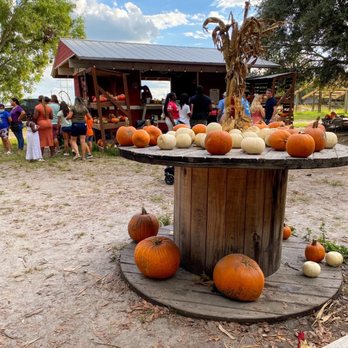 Family Farm - Fruits & Veggies Near Me - Davie, Florida Family Farm - Fruits & Veggies Near Me - Davie, Florida