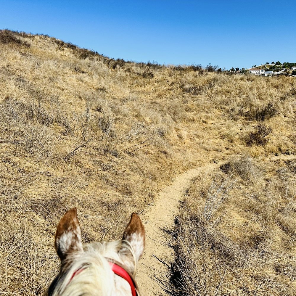 California Ranch Company - Horseback Riding Near Me - Temecula, California