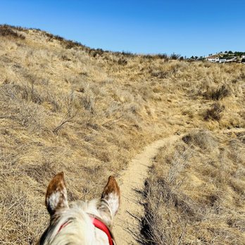 California Ranch Company - Horseback Riding Near Me - Temecula, California California Ranch Company - Horseback Riding Near Me - Temecula, California