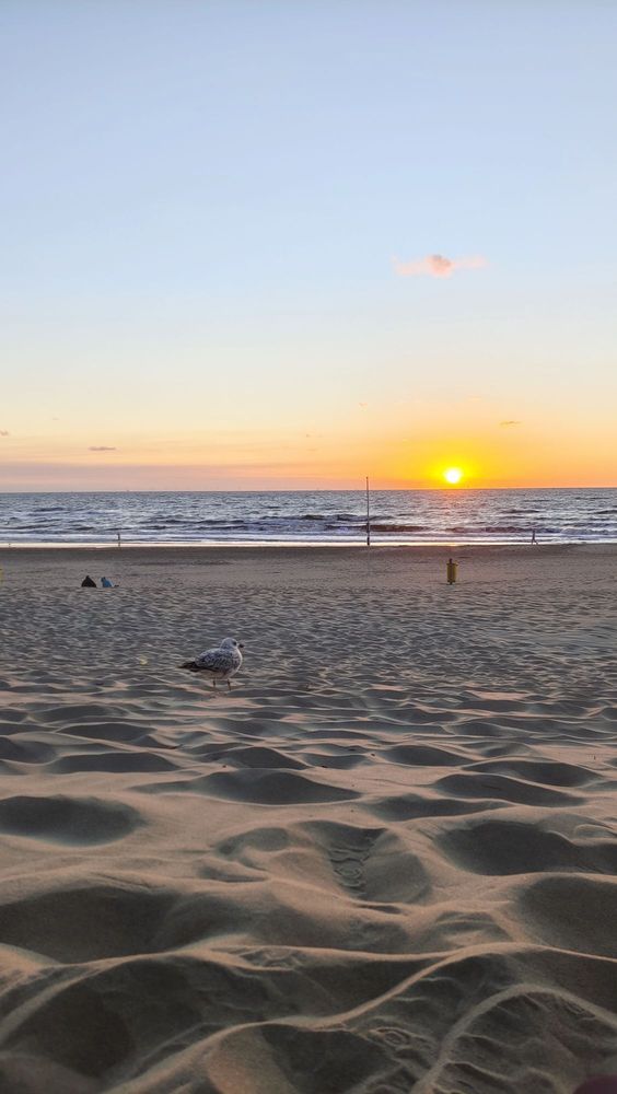 Strand Noordwijk Zuid