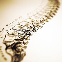 Clinical Massage Therapy