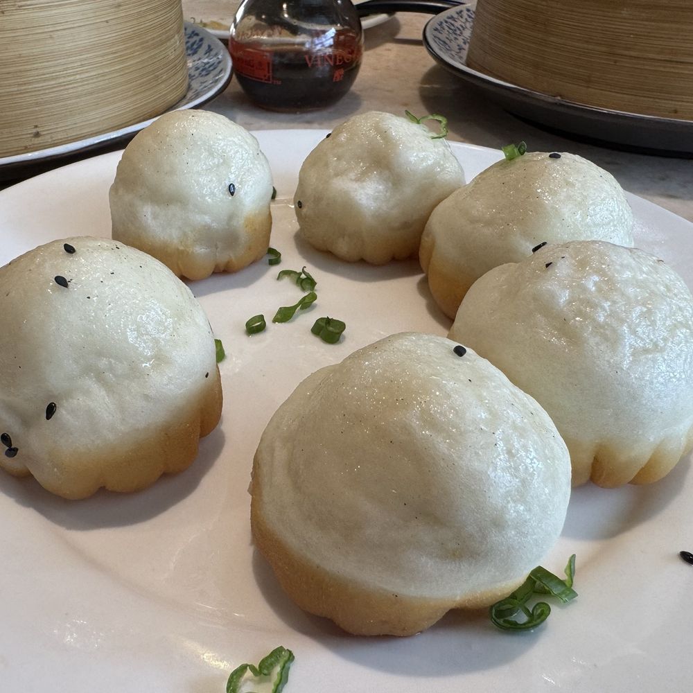 Pan-fried Buns 6pcs - very doughy.. :/