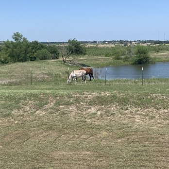 Remington Pet Ranch - Pet Boarding Near Me - Buda, Texas Remington Pet Ranch - Pet Boarding Near Me - Buda, Texas