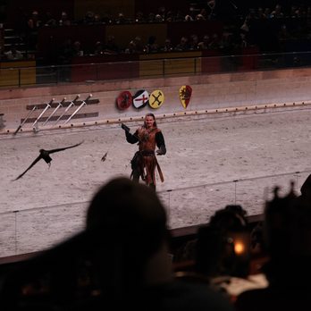 Medieval Times Dinner & Tournament - American Near Me - Lyndhurst, New Jersey Medieval Times Dinner & Tournament - American Near Me - Lyndhurst, New Jersey