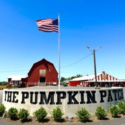Open daily 9am-5pm on the farm! Come visit us for our fresh produce, u-pick crops, animal barn, giftshop, cafe, & coffee cart!
