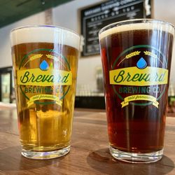 Brevard Brewing - Pilsner and Dunkel