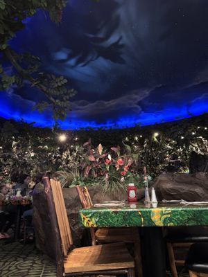 Rainforest Cafe by null