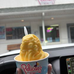 Pelican’s Snoballs
