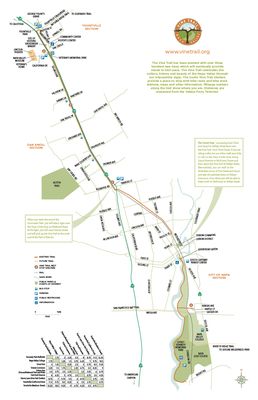 Napa Valley Vine Trail by null