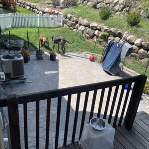 CARL F STATZ & SONS - Updated January 2025 - 6101 Hogan Rd, Waunakee ...