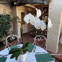 Included are the orchid centerpieces! And you can choose your linen colors Included are the orchid centerpieces! And you can choose your linen colors
