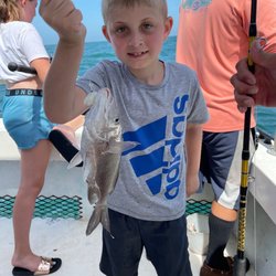 Thunder - Fishing