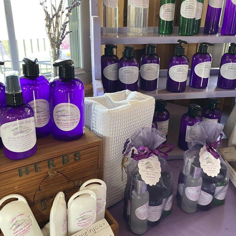 Lavender Fields at Tantivy Farm - All the lavender goodies - Attraction Farms Near Me - Fairfield, Virginia Lavender Fields at Tantivy Farm - All the lavender goodies - Attraction Farms Near Me - Fairfield, Virginia