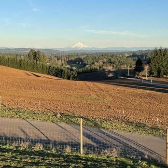 Ruby Vineyard and Winery - View of Mt. Hood from the porch. - Wineries Near Me - Hillsboro, Oregon