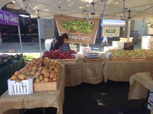 Montrose Farmers Market by null