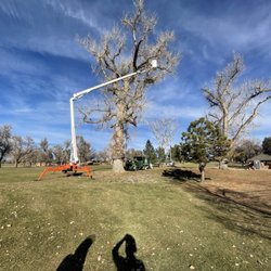 Hollar Tree Company