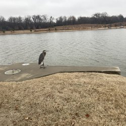 Shelby Farms Greenline - Herring. Just chilling