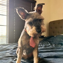 Excellent attention to details. Otis approves. Can't wait until his next spa day.