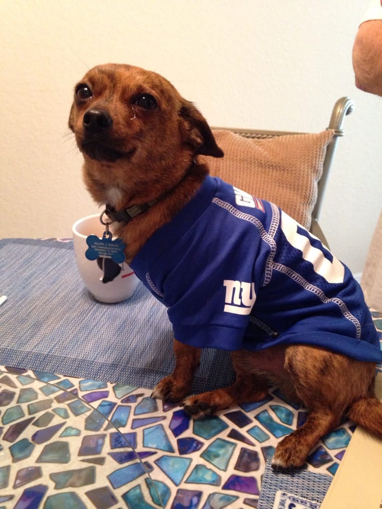 Doggie Nation Image