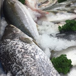 Samtass Bros Seafoods - Excellent range of fresh  local whole fish available. Scaled & gutted free of charge.