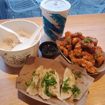 CHIBI Ramen - Rice, Pork Gyoza and Domu Chicken Bites - Ramen Near Me - Orlando, Florida