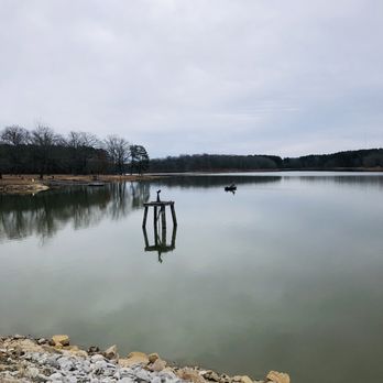 Herb Parsons Lake - Fishing Near Me - Collierville, Tennessee