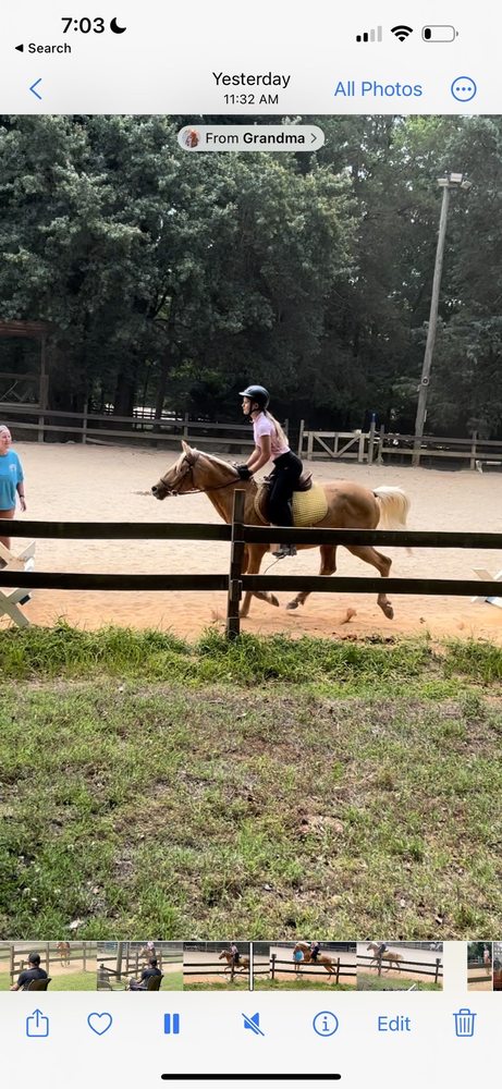 Leg Up Equestrian - equestrian in Fort Mill, SC