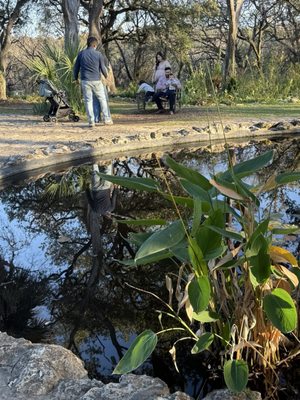 Mayfield Park and Nature Preserve by null