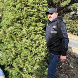 Joiner Tree Farm