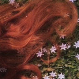 orange hair orange hair