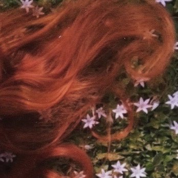 Glam Kitty Hair Studio - orange hair - Hair Salons Near Me - Pinellas Park, Florida Glam Kitty Hair Studio - orange hair - Hair Salons Near Me - Pinellas Park, Florida