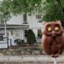 Photo of Brown's Candy Kitchen