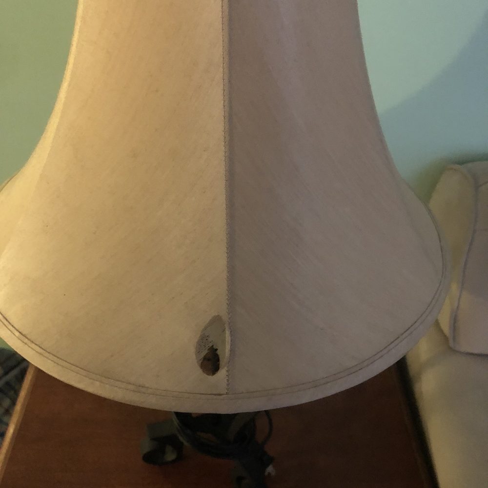 Nock Apartments - Hole in lamp shade - Vacation Rentals Near Me - Ocean City, Maryland Nock Apartments - Hole in lamp shade - Vacation Rentals Near Me - Ocean City, Maryland