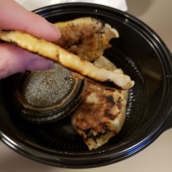 Noodles and Company - Smooshed potstickers :-( - Noodles Near Me - Middleton, Wisconsin