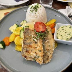 OBERLAA - Zander (fish)