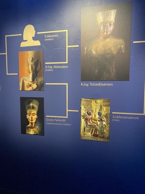 National Geographic Museum of Exploration by null