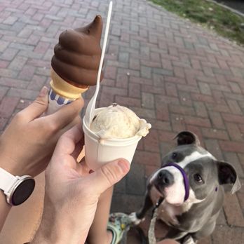 Spotty Dog Ice Cream - Chocolate Dip + S'mores Redux - Ice Cream & Frozen Yogurt Near Me - Richmond, Virginia Spotty Dog Ice Cream - Chocolate Dip + S'mores Redux - Ice Cream & Frozen Yogurt Near Me - Richmond, Virginia