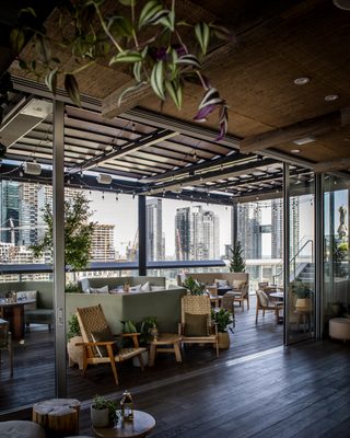 Harriet's Rooftop by null