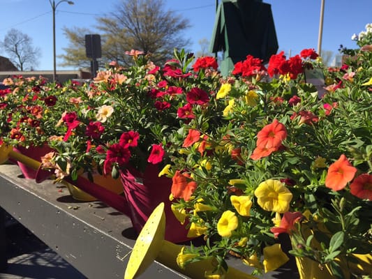 Farmers market in Kirkwood by null