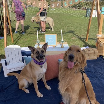 Puppy Picnic - Party & Event Planning Near Me - Encinitas, California Puppy Picnic - Party & Event Planning Near Me - Encinitas, California