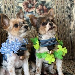 Louis and Giacomo after their first visit in May 2025
