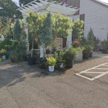 Mikes Growers Outlet - Nurseries & Gardening Near Me - Stanley, North Carolina Mikes Growers Outlet - Nurseries & Gardening Near Me - Stanley, North Carolina