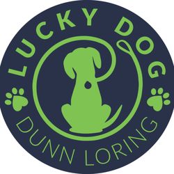 Lucky Dog