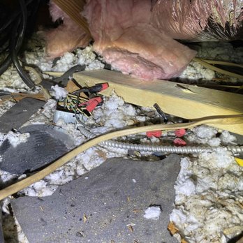 RCPM - High voltage junctions not secure left in attic around insulation. - Property Management Near Me - Huntsville, Alabama RCPM - High voltage junctions not secure left in attic around insulation. - Property Management Near Me - Huntsville, Alabama