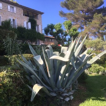 Manoir de l'Etang - The grounds. - Hotels Near Me - Mougins, 06