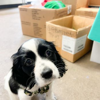 Pawsnickety Pets - Pet Stores Near Me - Norfolk, Virginia