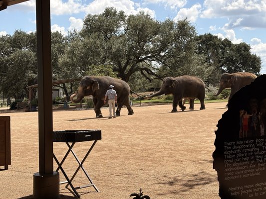 The Preserve by null